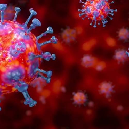 KNOW MORE ABOUT CORONA VIRUS